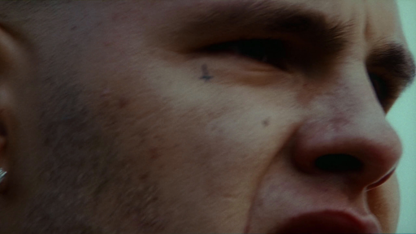 a close up of a person with a nose piercing