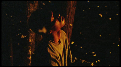 a young boy standing in the woods at night