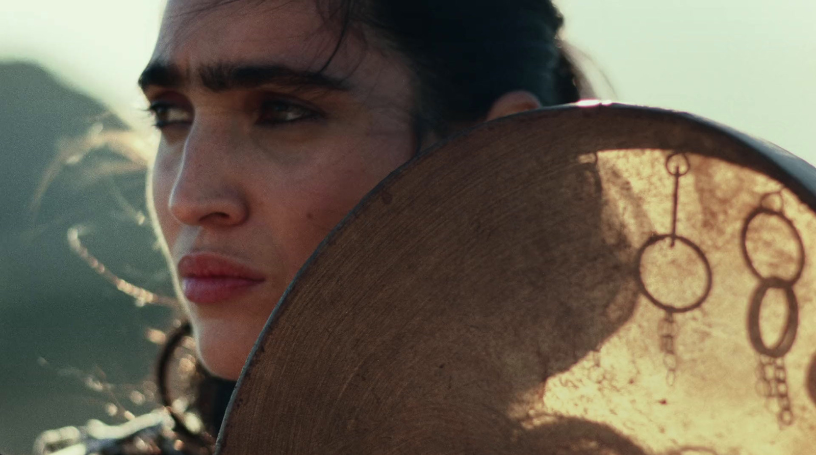 a close up of a person holding a shield