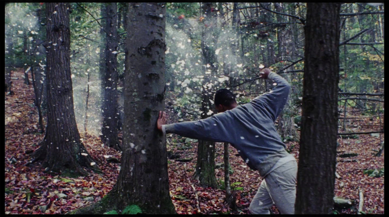 a man standing in the middle of a forest