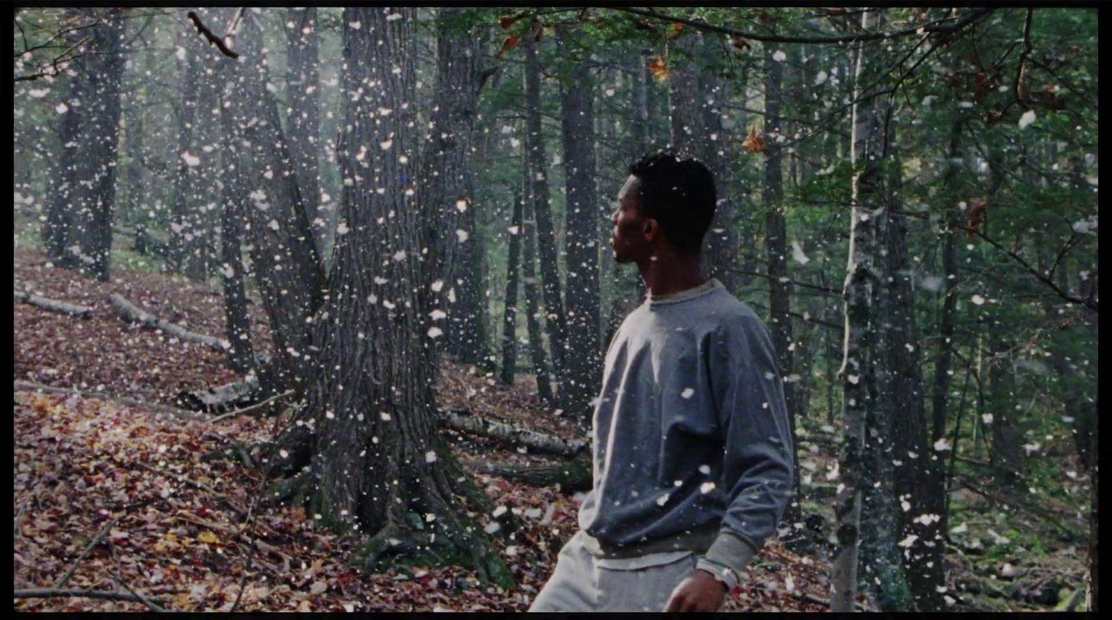 a man standing in the middle of a forest