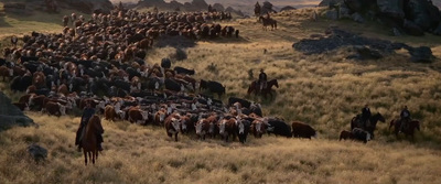 a large group of people riding horses through a field