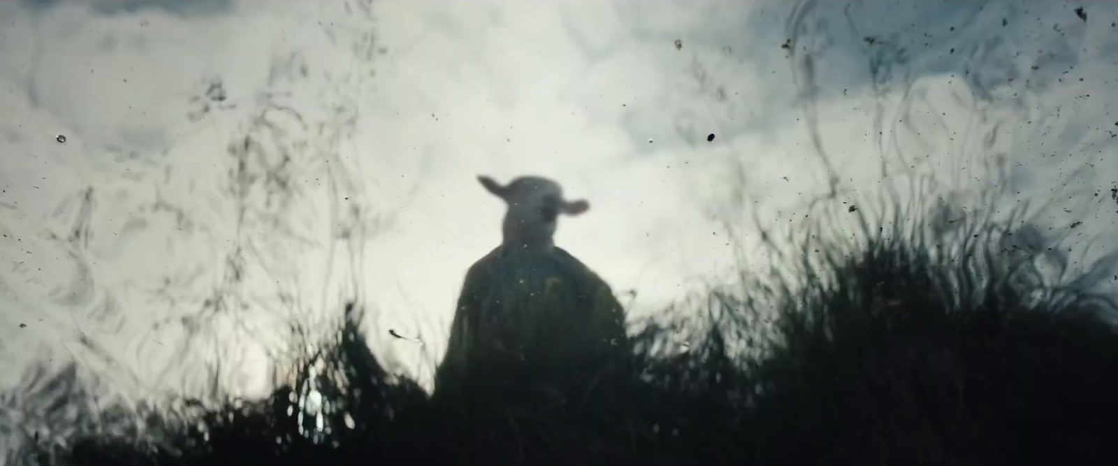 a sheep standing in a field with tall grass