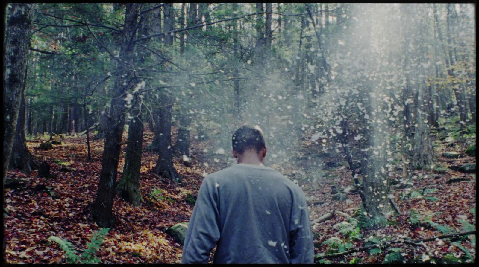 a man standing in a forest surrounded by trees