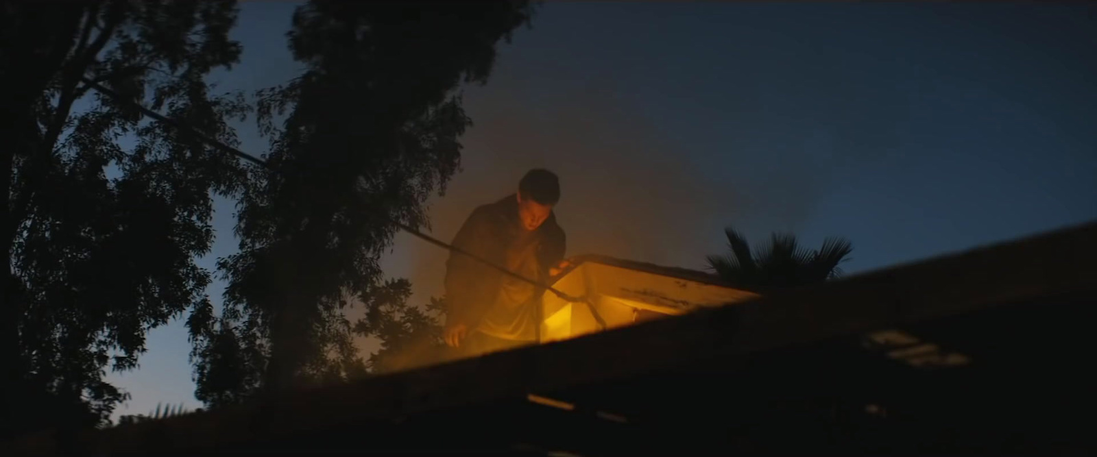 a man standing on top of a roof next to a tree