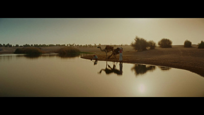 a horse that is standing in the water