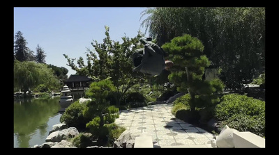 a stone path in a park with a pond and trees