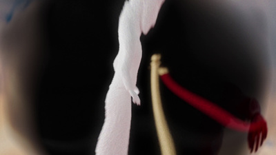 a close up of a white bird on a pole