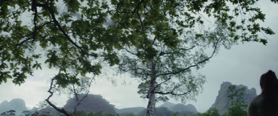 a person standing under a tree with mountains in the background