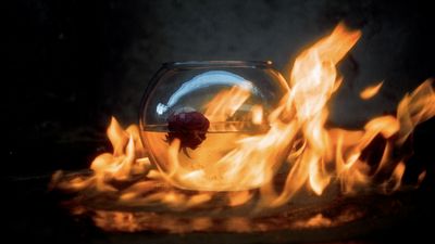 a fish bowl on fire with a rose in it