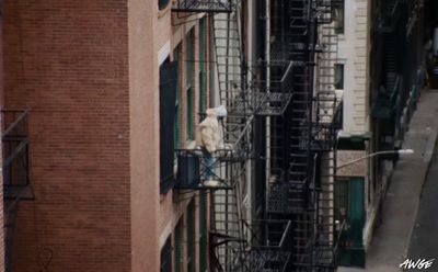 a tall building with a fire escape next to it