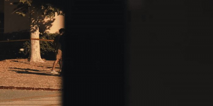 a man riding a skateboard down a street next to a tree