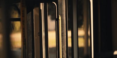 a close up of a metal door with a tree in the background