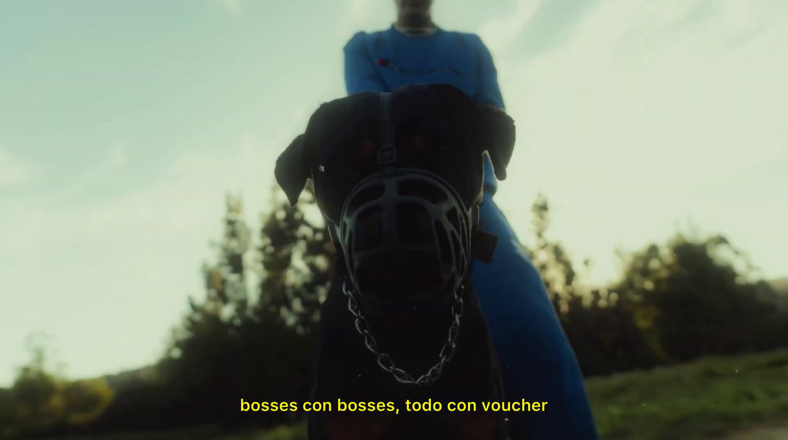 a person riding a horse with a sky background