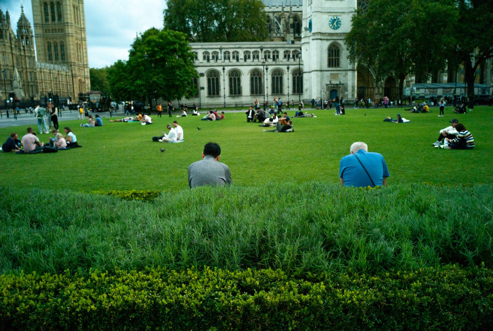 a group of people sitting on top of a lush green field