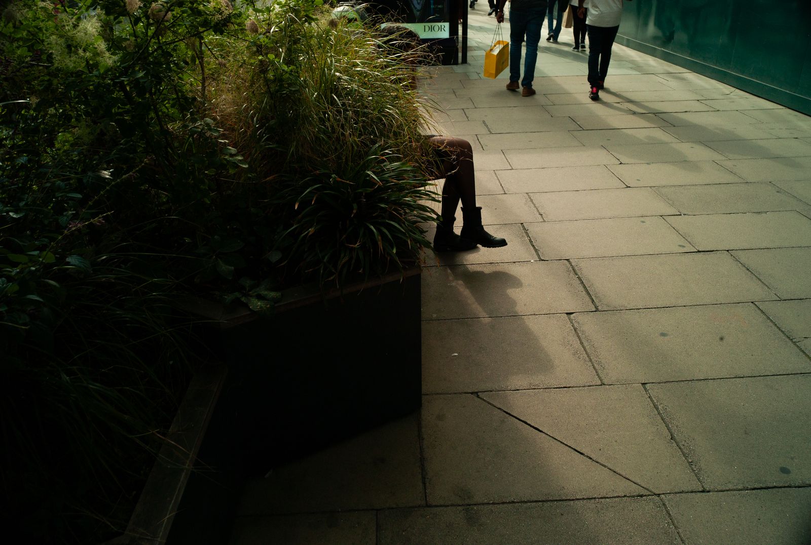 a little boy standing on a sidewalk next to a plant