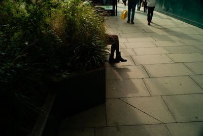 a little boy standing on a sidewalk next to a plant