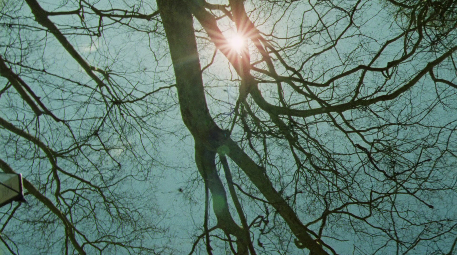 the sun shines through the branches of a tree