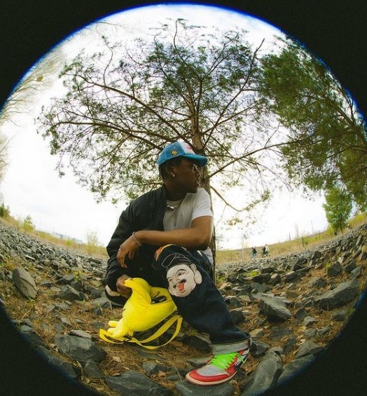 a man sitting on top of a pile of rocks next to a tree