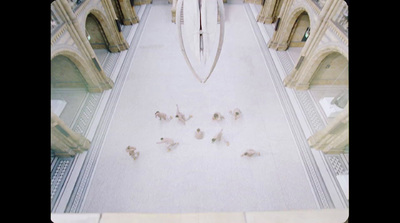 a group of birds sitting on the floor of a building