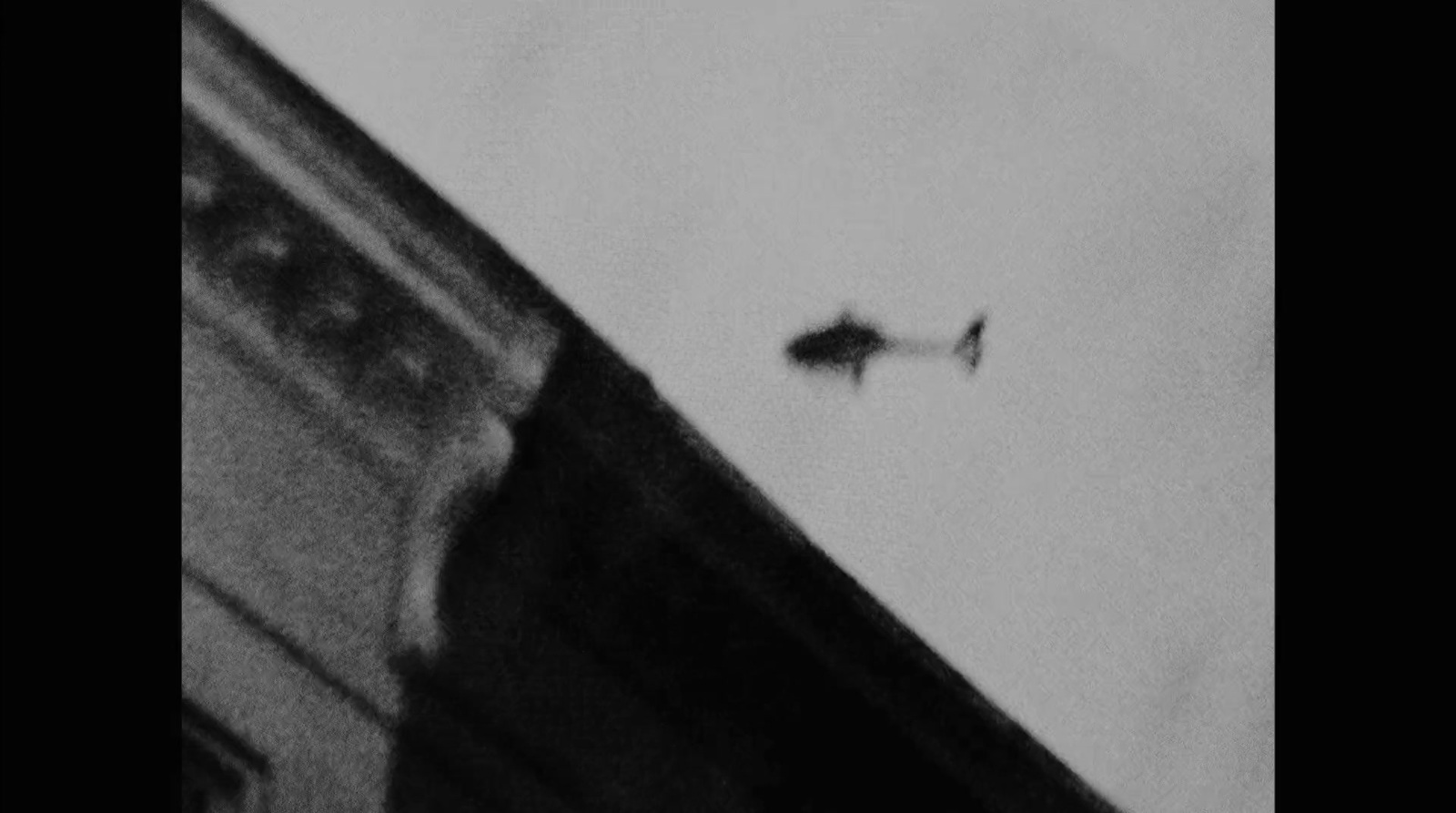 a black and white photo of a fish in the air