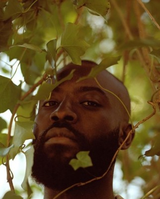 a man standing under a tree looking up