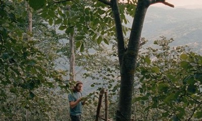 a man standing in the woods next to a tree