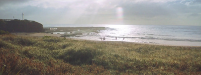 a couple of people walking on a beach near the ocean