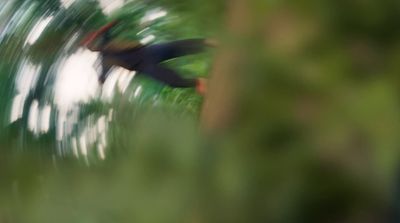 a blurry photo of a bird flying through the air