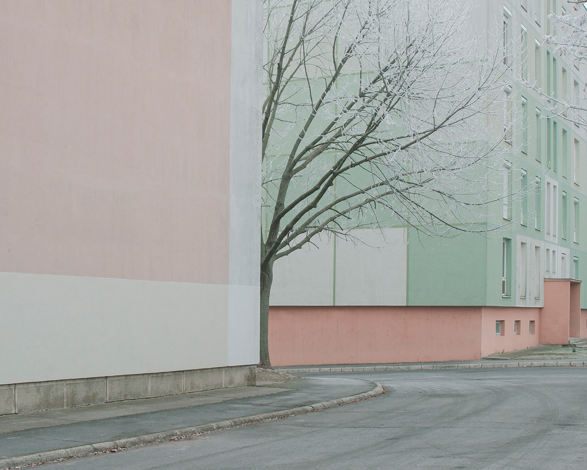 a tree in front of a building on a city street