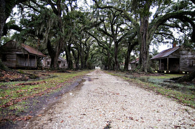 a dirt road surrounded by trees and houses