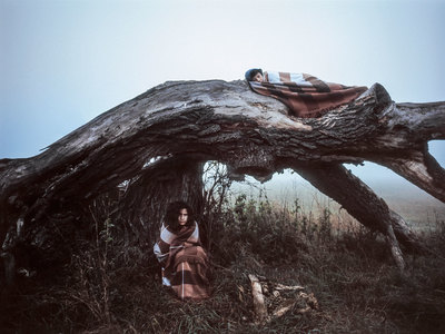 a woman sitting on a tree branch in a field