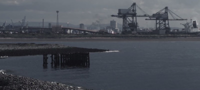 a body of water with a lot of cranes in the background