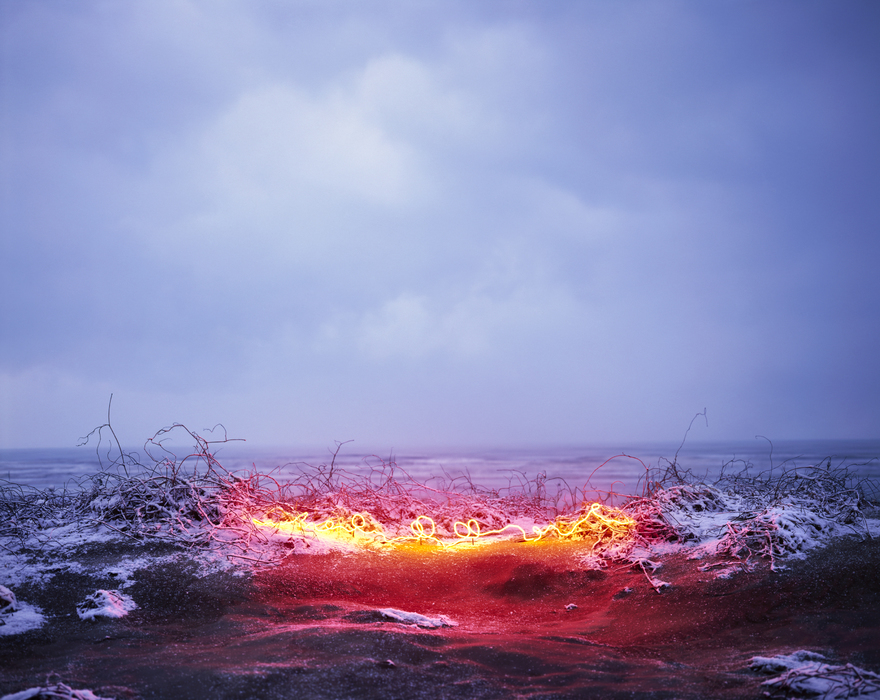 a red and yellow substance on a beach