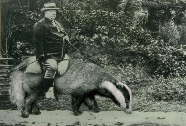 a man riding on the back of a small animal