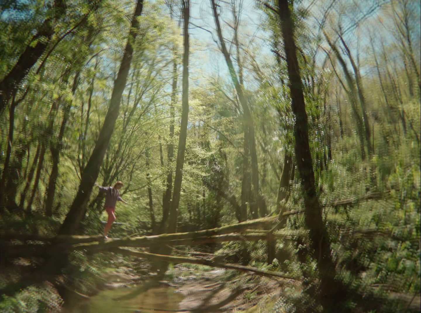 a person crossing a creek in a forest