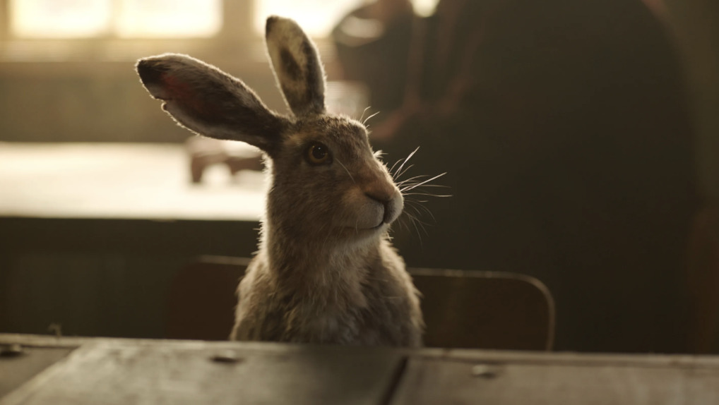 a brown rabbit sitting on top of a table