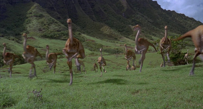 a herd of animals running across a lush green field