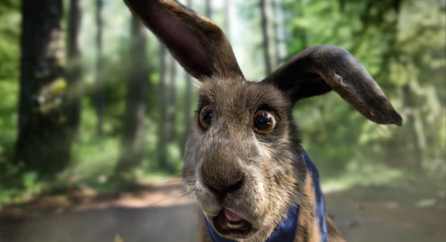 a close up of a dog's face with trees in the background