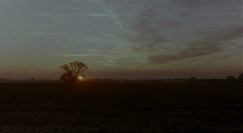 the sun is setting over a field with a lone tree