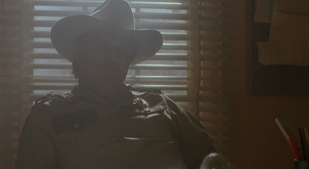 a man wearing a cowboy hat standing in front of a window