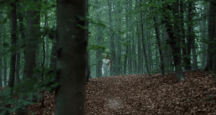 a person standing in the middle of a forest