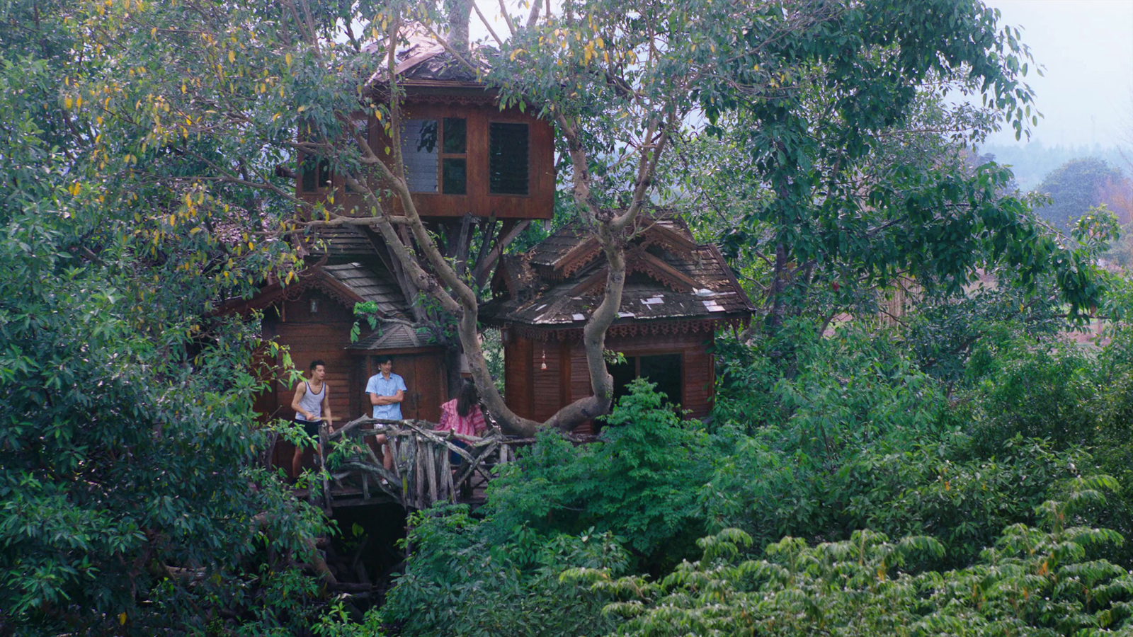 a group of people standing on top of a tree house