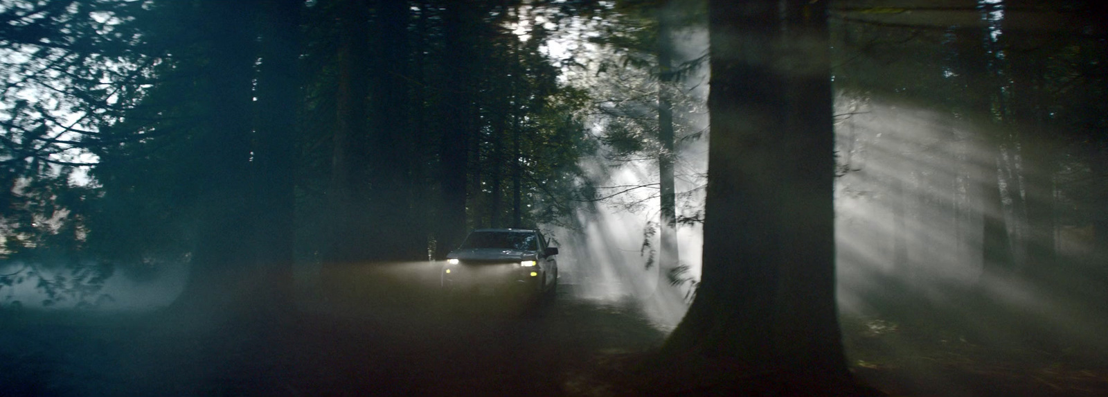 a car driving through a forest on a foggy day