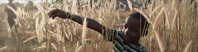 a young boy standing in a field of tall grass