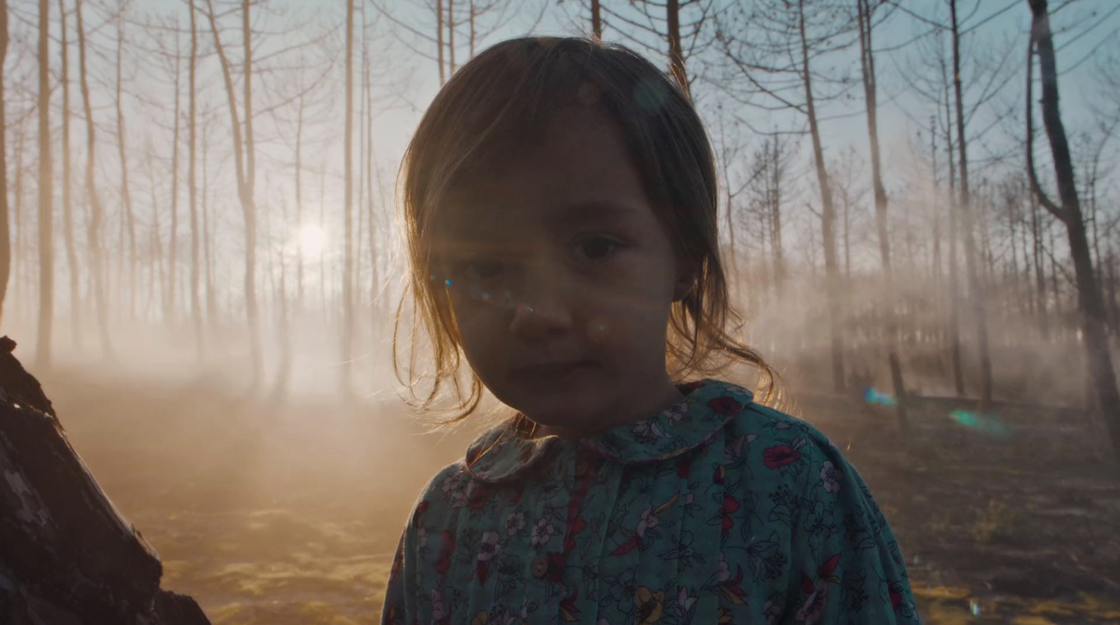 a little girl standing in a forest with fog