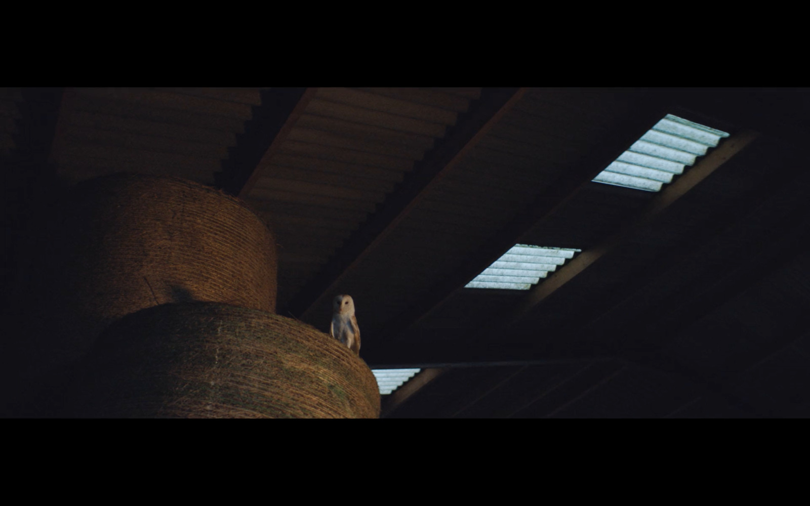 a bird is perched on the roof of a building