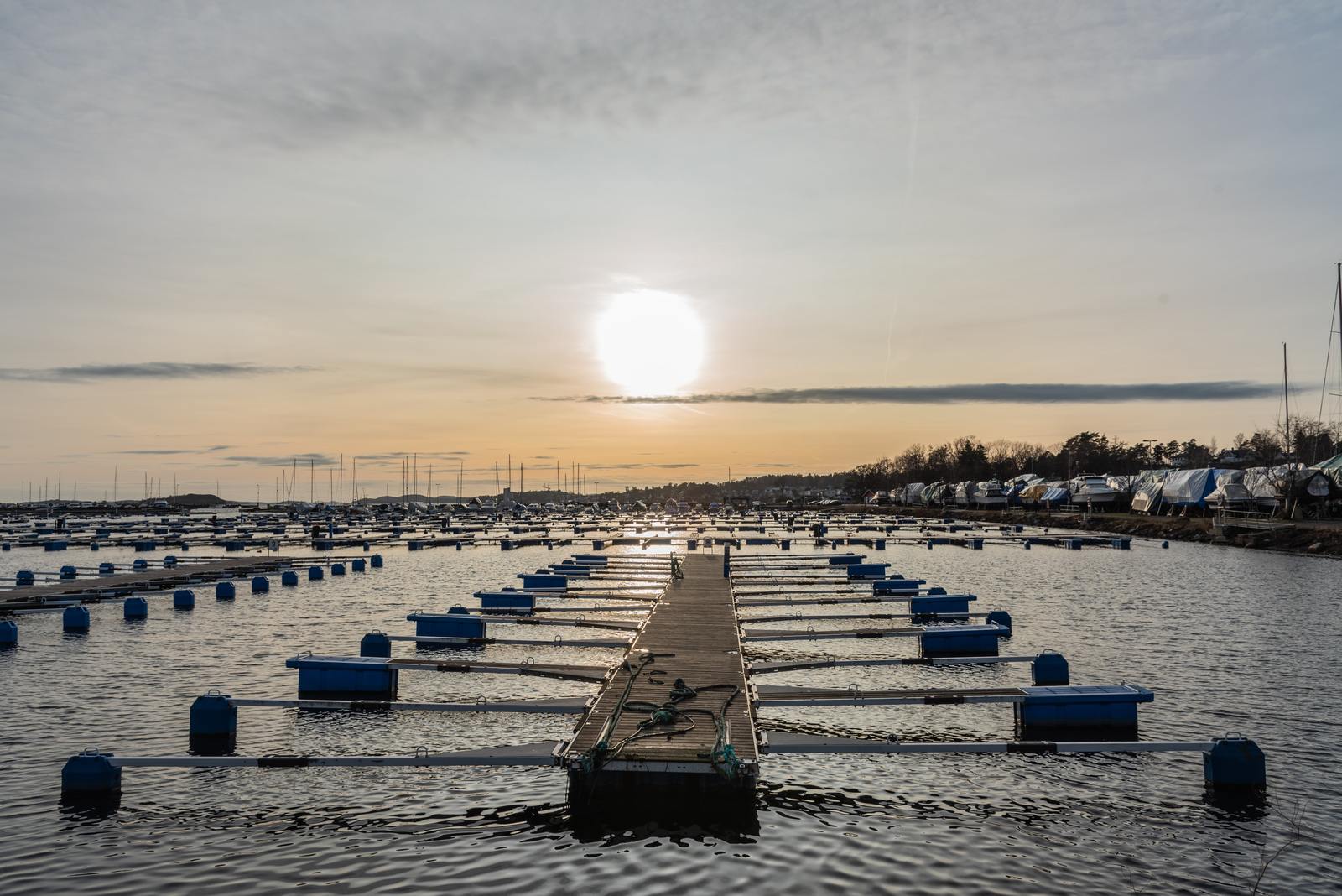 the sun is setting over a dock full of boats