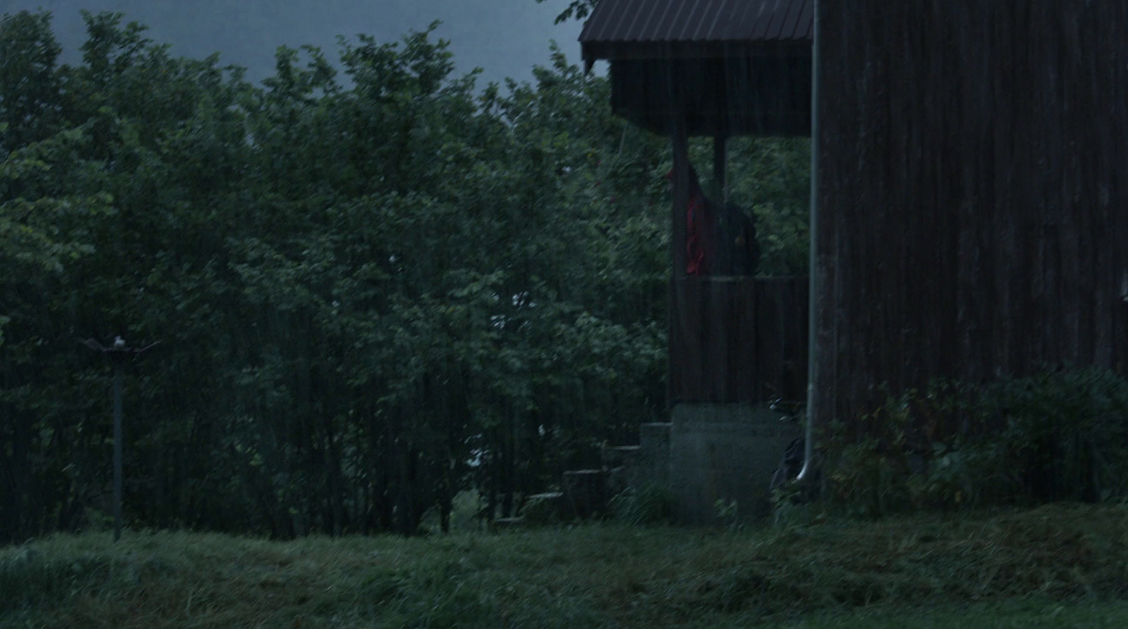 a person standing in the rain with an umbrella