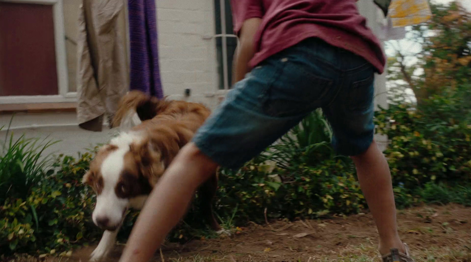 a young boy playing with a dog outside of a house